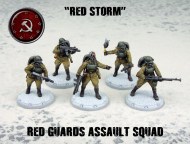 ssu red guards assault squad